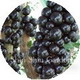 jaboticaba